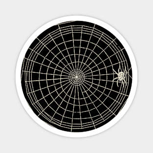 Distressed Spider Web Magnet